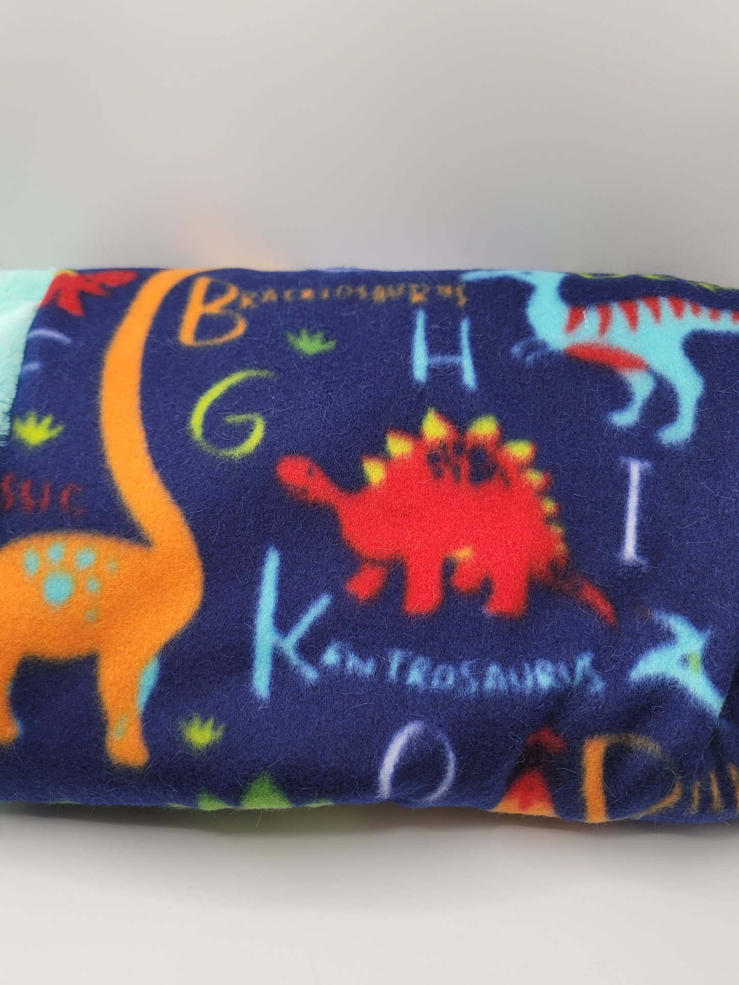 Dinosaur Roar Blanket + Burp Cloth Set