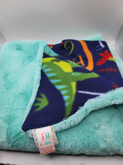 Dinosaur Roar Blanket Bundle Set/ Rare Burp Cloth Set/ New Parents Gift/ Gender Neutral Gift/ Faux Fur Throw/ Fleece Covering/ Play Mat